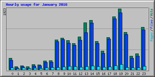 Hourly usage for January 2016